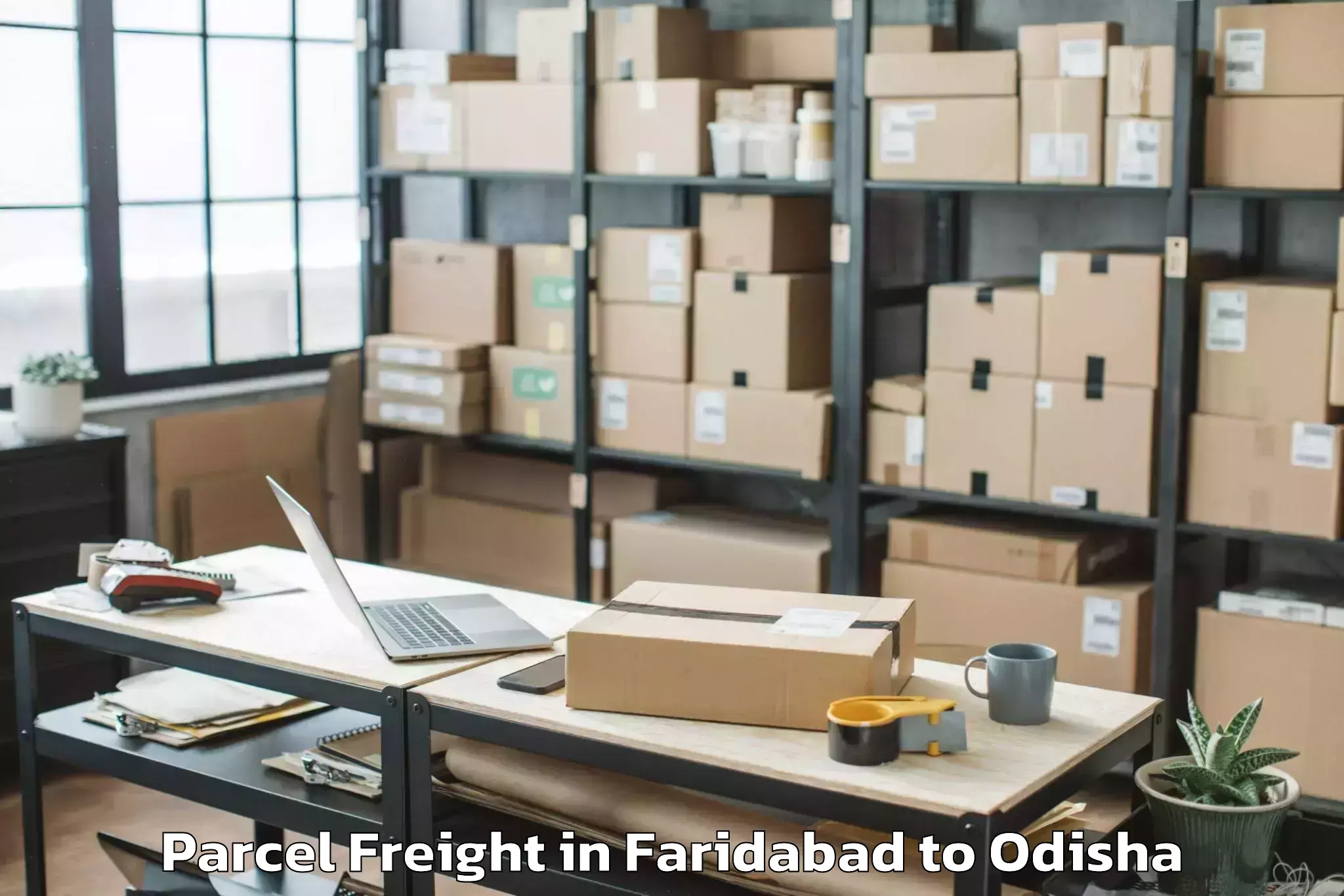 Leading Faridabad to Bhubaneswar Parcel Freight Provider